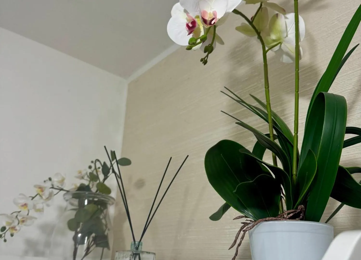 Casa Alessio - Elegante Appartamento Nel Cuore Di Cesano Maderno Apartment